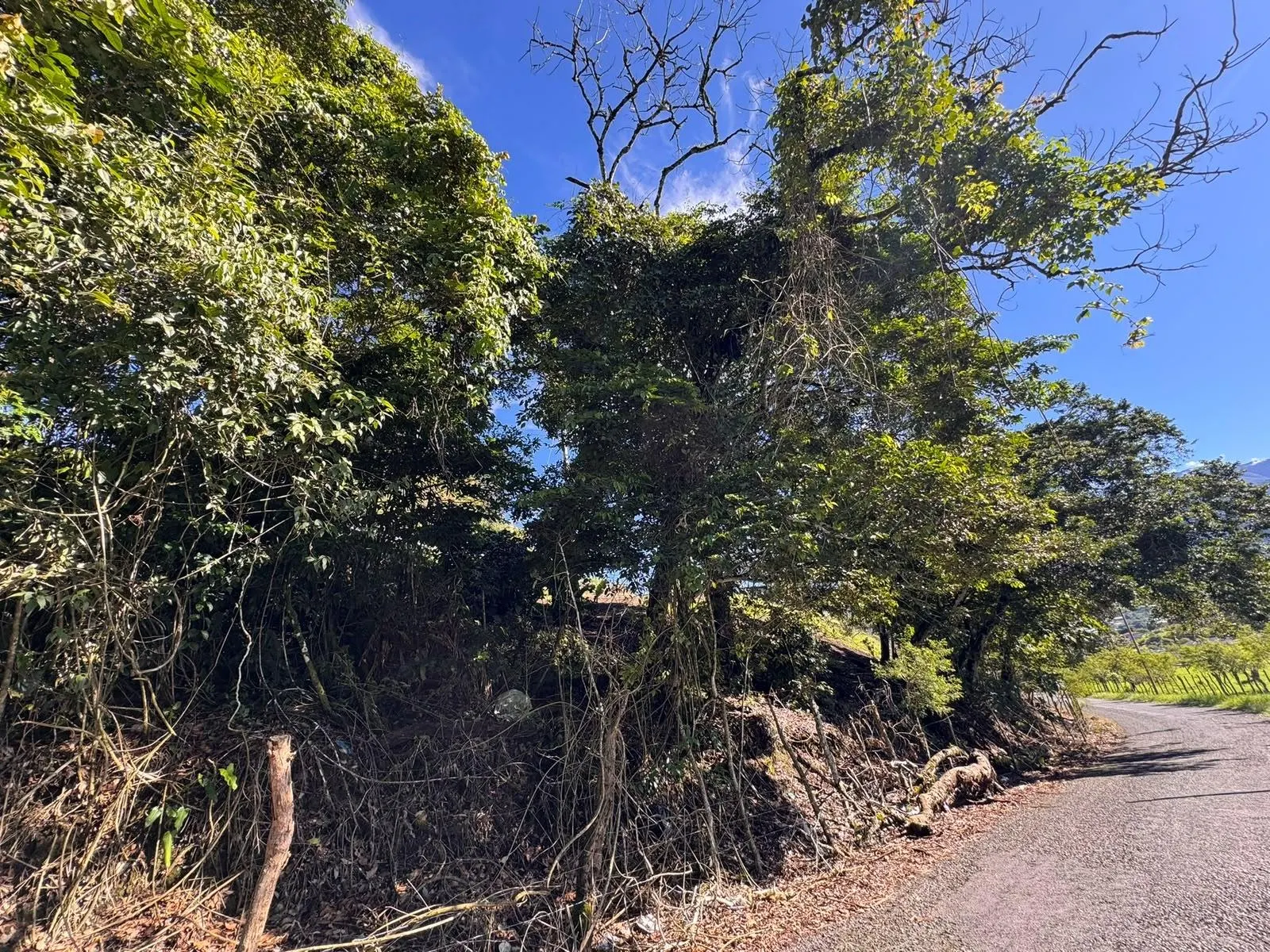 photo_server