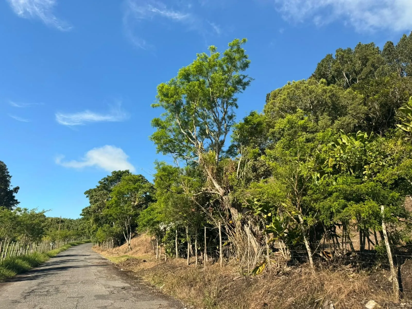 photo_server