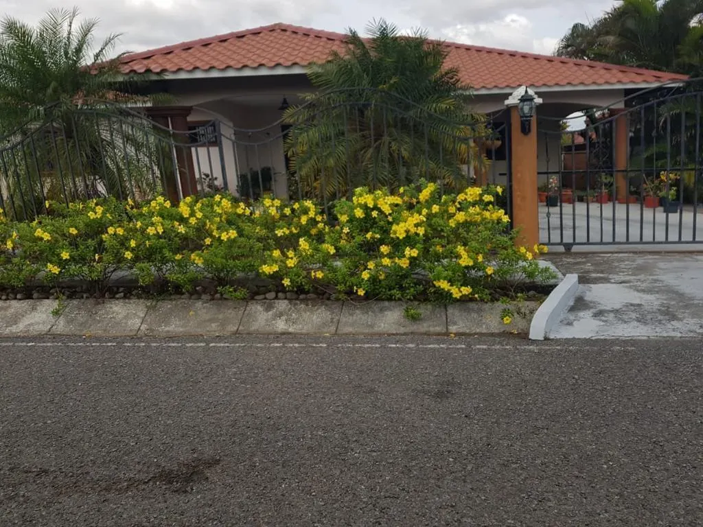 photo_server