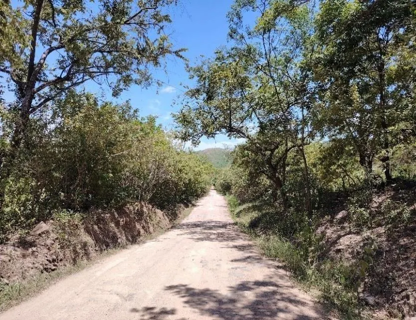 photo_server