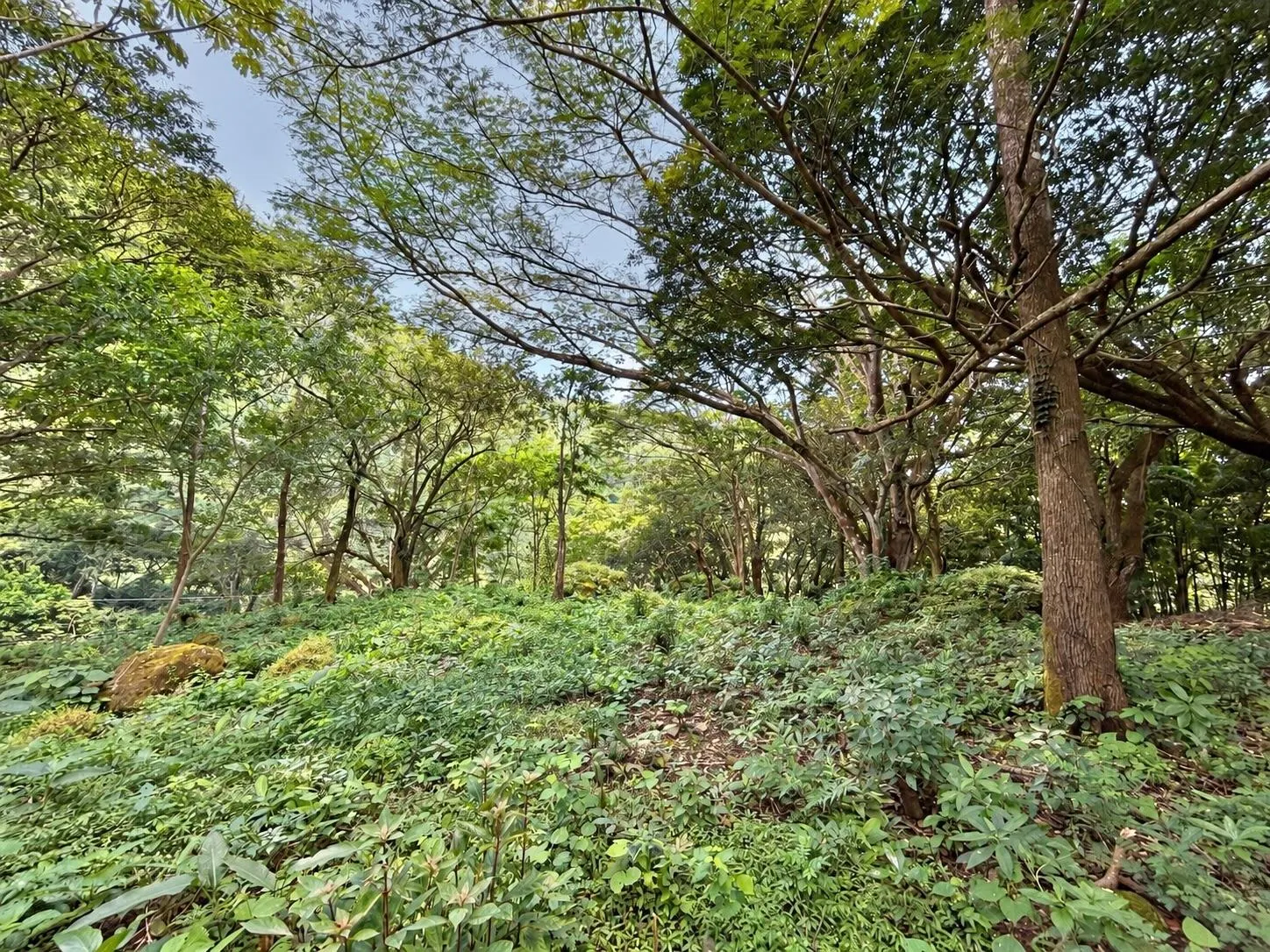 photo_server