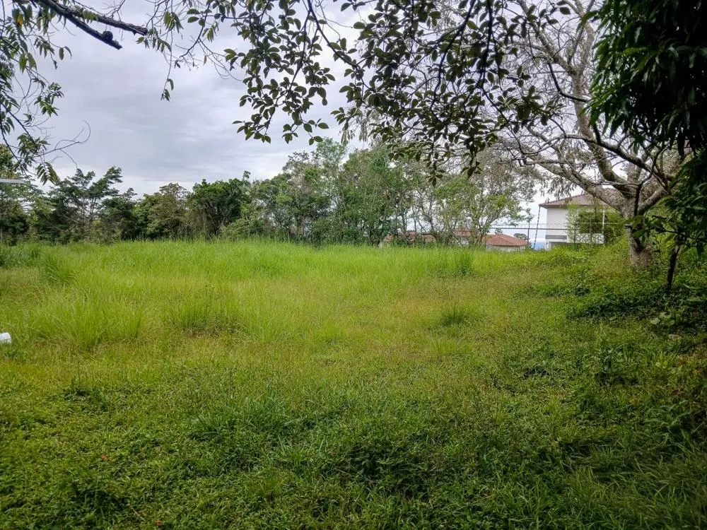 photo_server