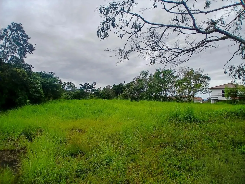 photo_server