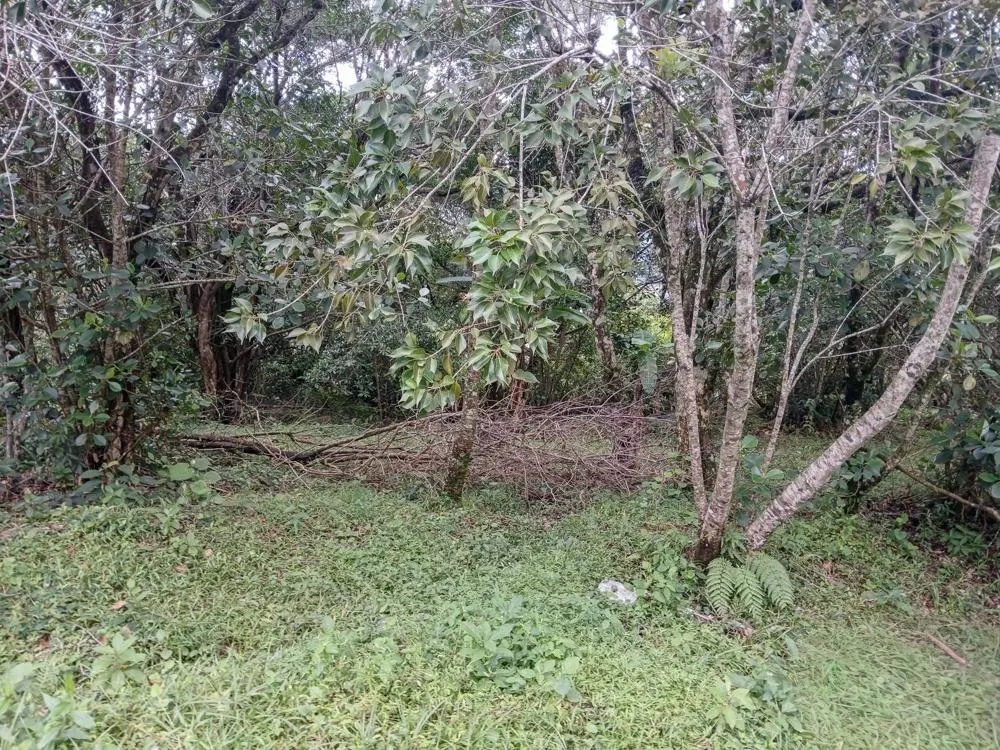 photo_server