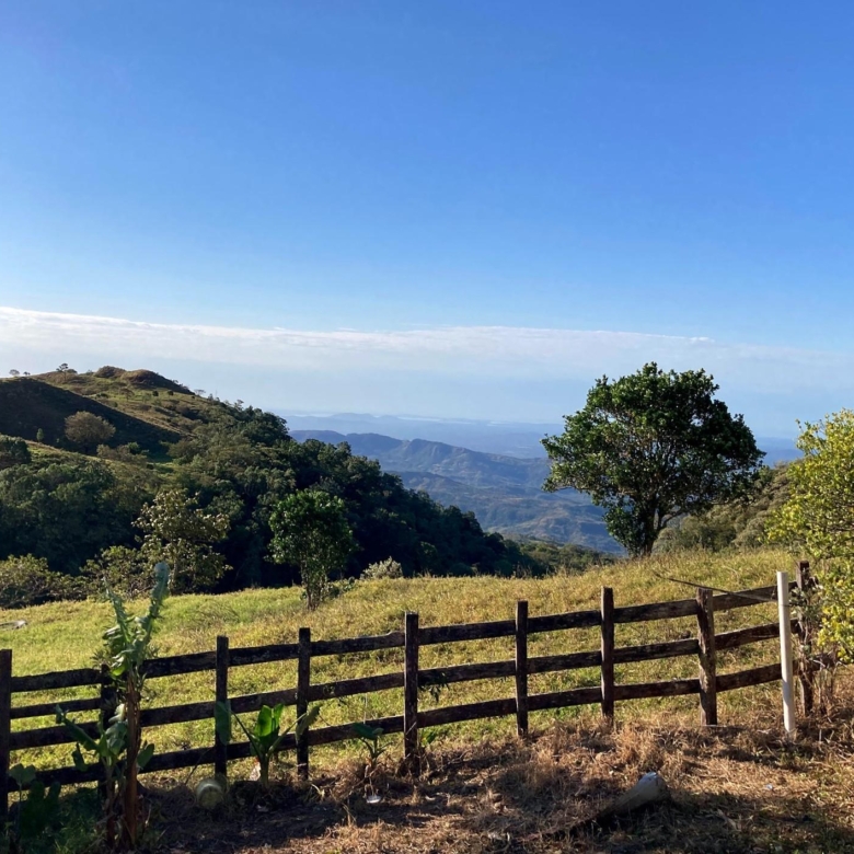 780