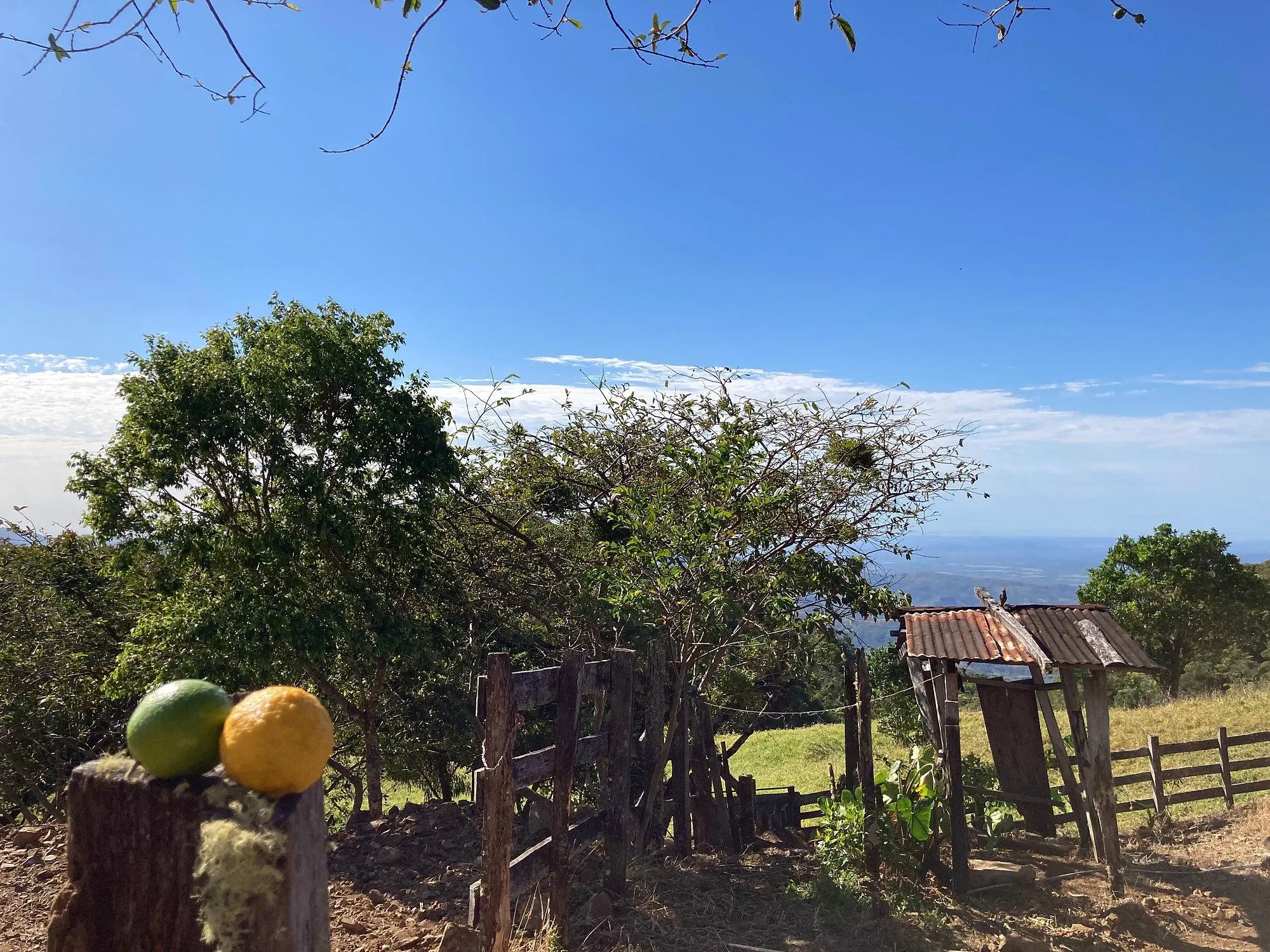 photo_server