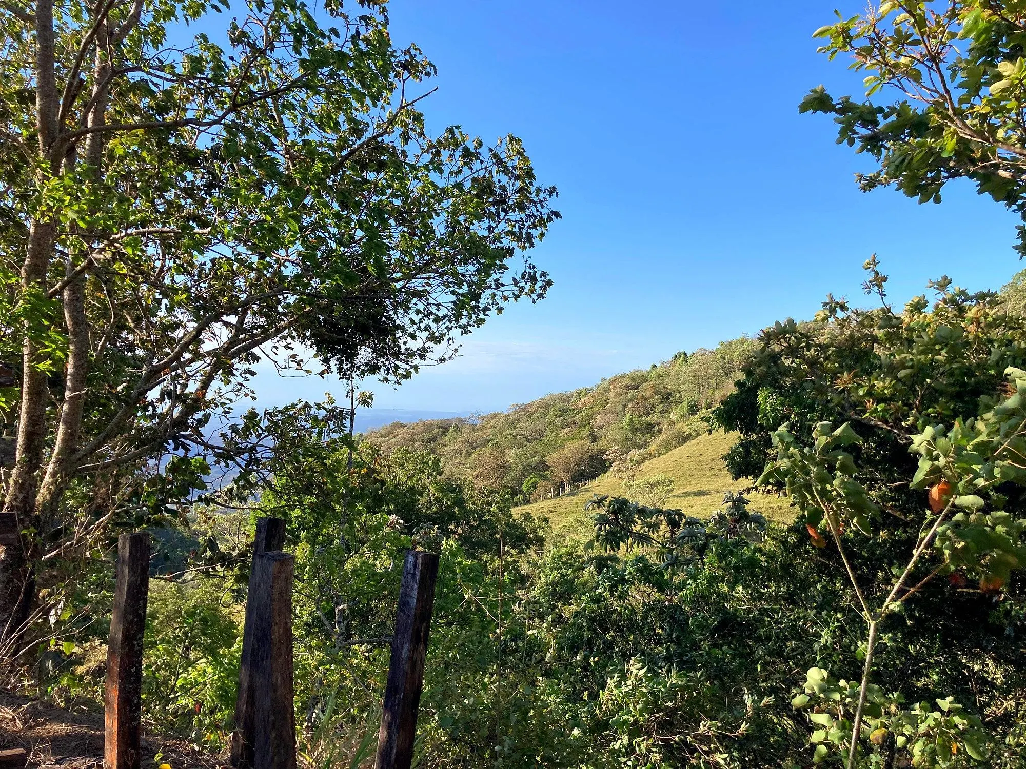 photo_server