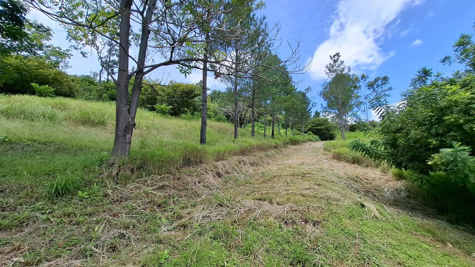 photo_server