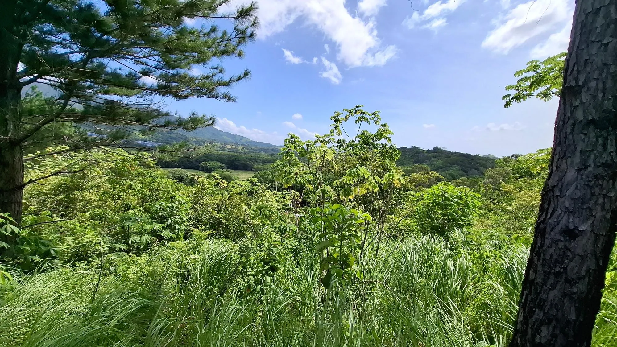 photo_server