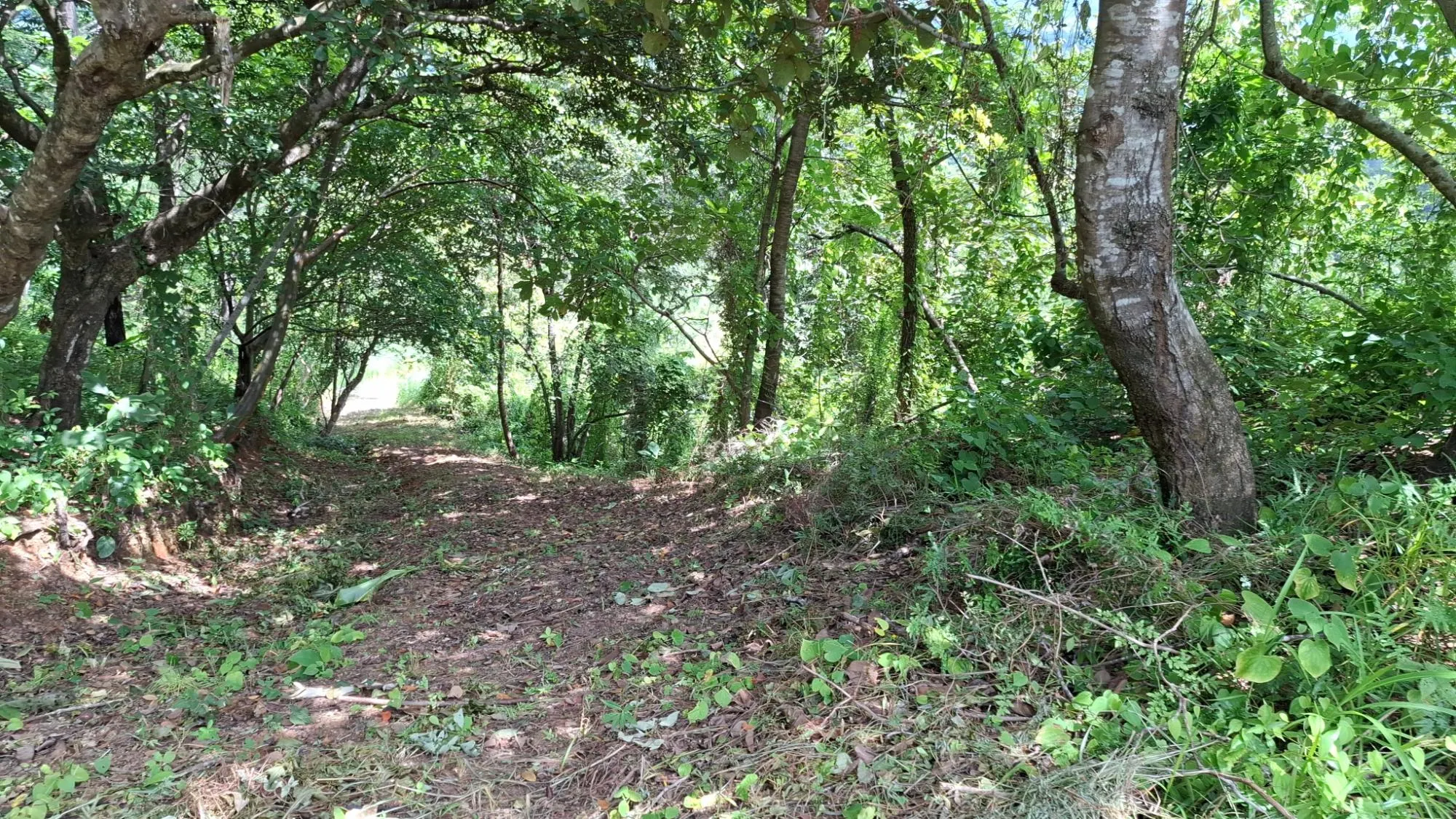 photo_server